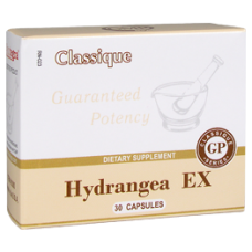 Hydrangea EX - Гортензия
